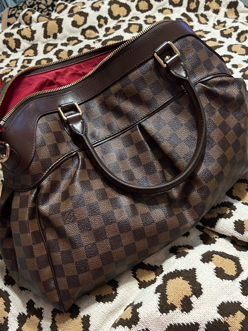 Dark Brown Checker Tote with Red Interior